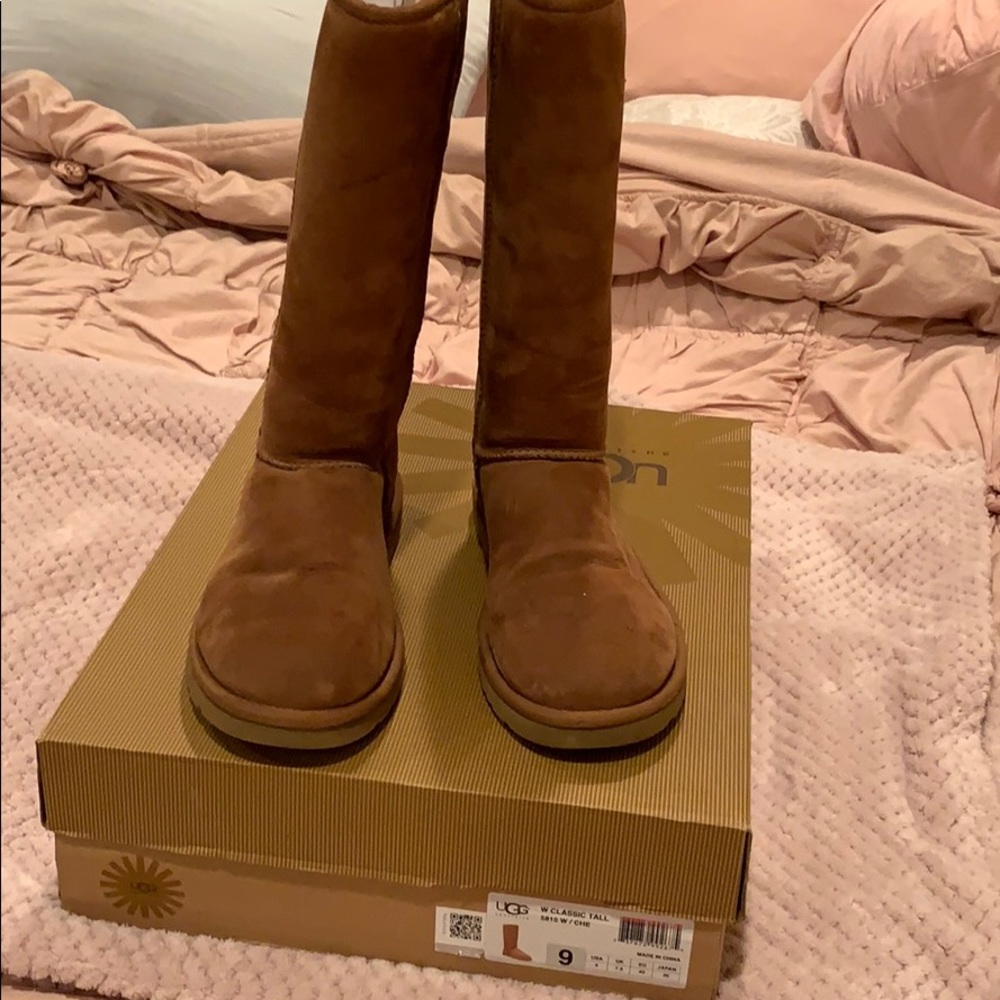 New uggs Chestnut
